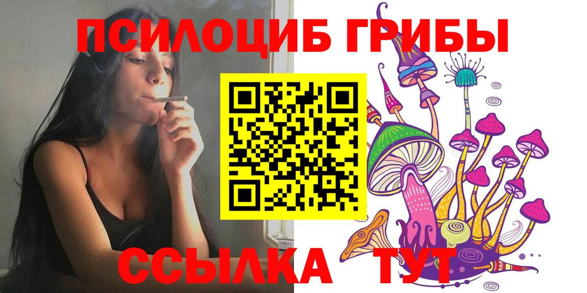 Кулебаки  Галлюциногенные грибы прущие грибы  Вход с VPN 